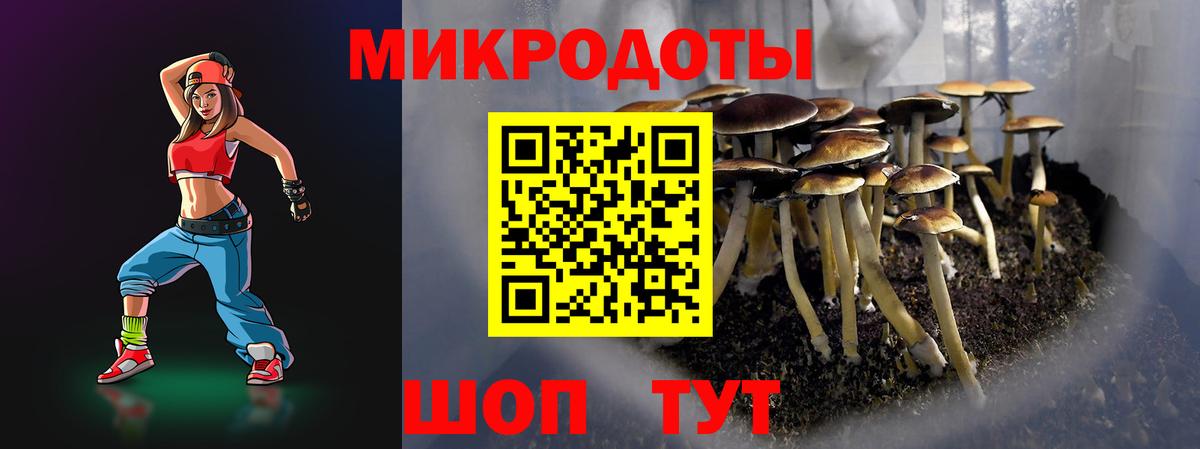 Галлюциногенные грибы мицелий  Вход с VPN  Всеволожск  Псилоцибиновые грибы Psilocybe 